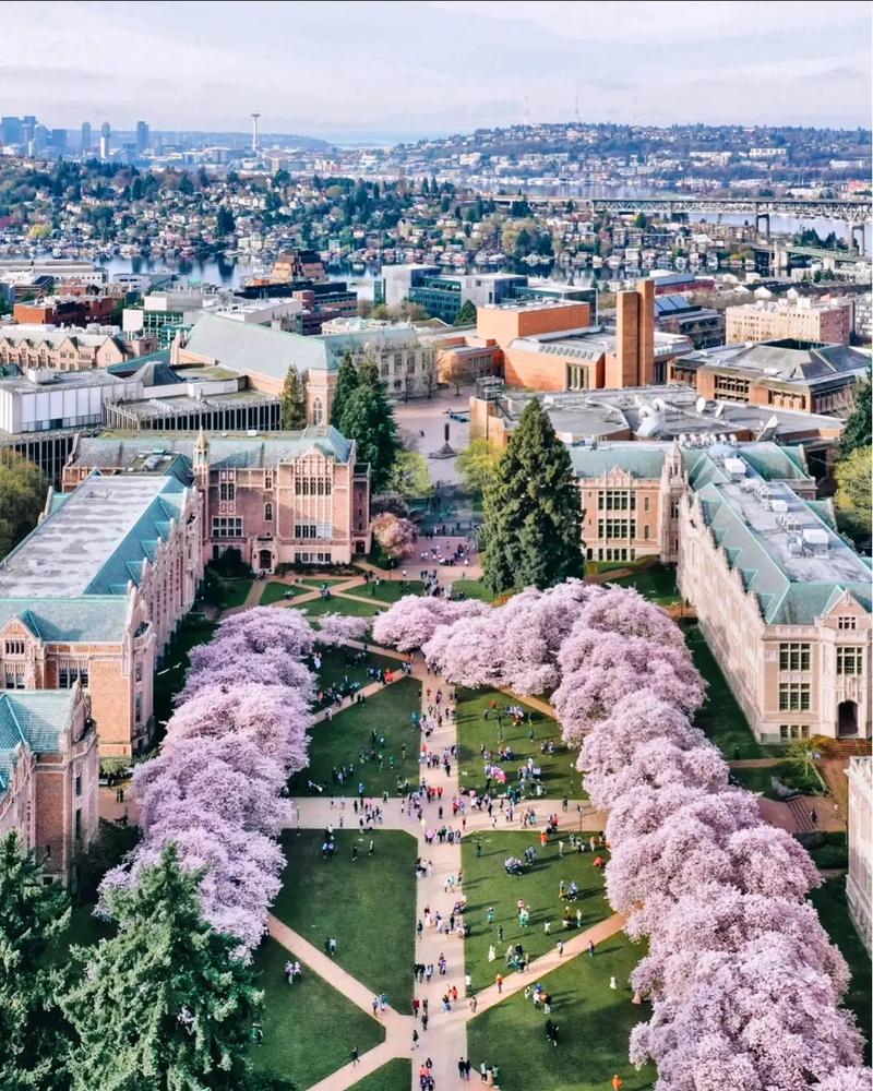 明尼苏达大学双城分校